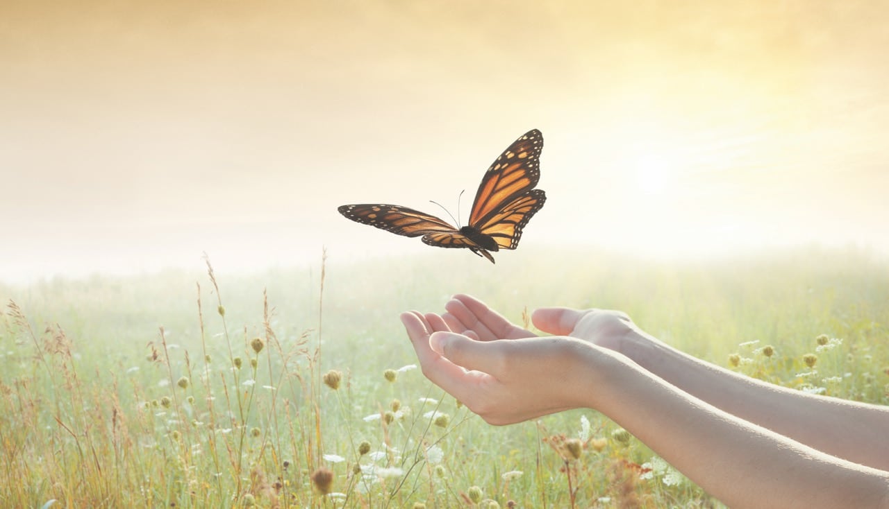 Featured image for “The Happiness Study: Lessons from Lives Well-Lived”